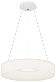 Top Light - LED dimmelhető kábelre függesztett csillár HALO LED/60W/230V 3000-6500K átm. 60 cm + távirányító