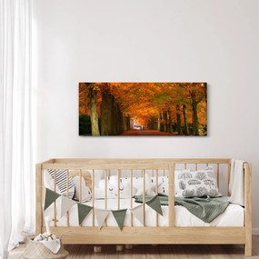 Kép - A Avenue of fák ősszel (120x50 cm)
