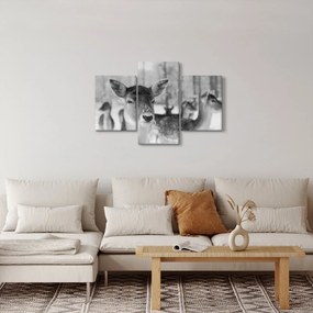 Kép - Szarvas, fekete, fehér (90x60 cm)