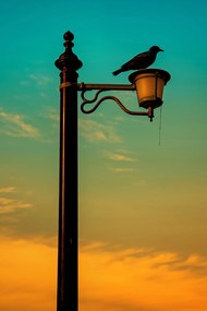 Poszter 20x30cm Nyugat a Lámpásban