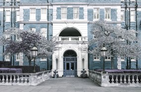 Poszter 91,5x60cm Albert bíróság épülete, Assaf Frank