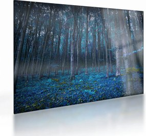 Kép - varázslatos erdő (üvegen) (70x50 cm)
