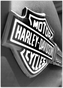Poszterek 50x70 Harley Davidson logó