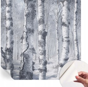 Öntapadós fotótapéta Nappaliba és Hálószobába Fagyos természet 250x250