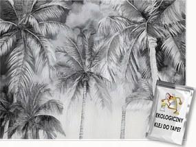 Fotótapéta Pálmafák Fekete-fehér Hálószoba Nappali Tapéta Flizelina 250x175