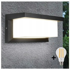 LED Kültéri fali lámpa NEELY 1xE27/9W/230V 3000K IP54 antracit
