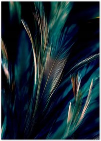 Poszterek A4 Pion Puha páva tollak