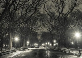Poszter 84,1x59,4cm Éjszakai kilátás a Central Parkon át vezető útra, Assaf Frank