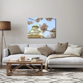 Kép - Sakura (70x50 cm)