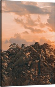 Vászonkép Fák Naplemente Felhők Égbolt 50x80 cm