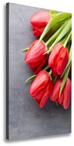 Egyedi vászonkép Piros tulipánok ocv-99719823