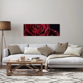 Kép - Vörös rózsa (órával) (90x30 cm)