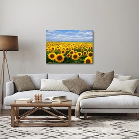 A napraforgó mező képe (70x50 cm)