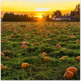 Poszterek 30x30 Tájkép Látvány