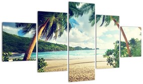 Kép - pálmafák, a tengerparton (125x70cm)