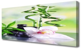 Vászonkép falra Bamboo Orchid Zen Spa 125x50 cm