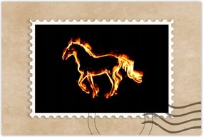 Poszterek 60x40 Tűz paripa