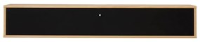 Fekete-natúr színű TV-állvány tölgyfa dekorral 133x22 cm Mistral – Hammel Furniture