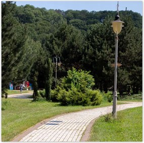 Poszterek 100x100 Zöld park fákkal