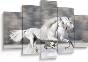 Kép - Fehér lovak télen (150x105 cm)
