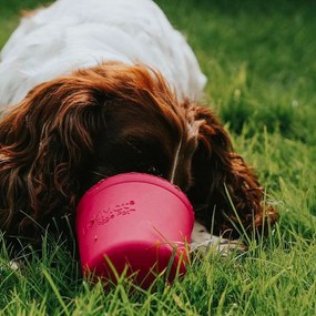Habzsolásgátló tál Yoggie Pot Pink – LickiMat