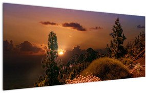 Természet képe naplementekor (120x50 cm)