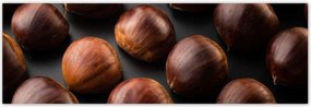 Poszterek 200x66 Kormány Gesztenye ehető