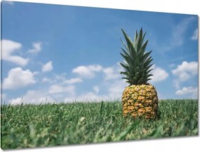 Festmények 120x80 Ananász tájkép