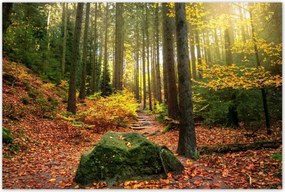 Poszterek 120x80 Tájkép