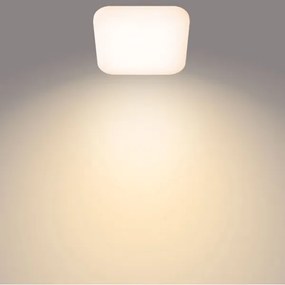 Philips - LED Mennyezeti lámpa MAUVE LED/24W/230V 2700K