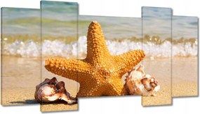 Festmények 120x65 Tengeri csillag és kagylók