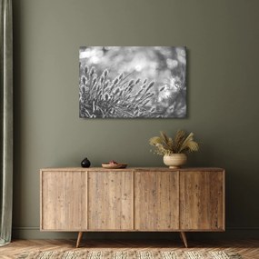 Kép - Bézs színű puha fű N⁰1 (90x60 cm)