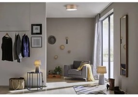 Paulmann 79687 - 3xE27/20W Mennyezeti lámpa NEORDIC LISKA 230V dió