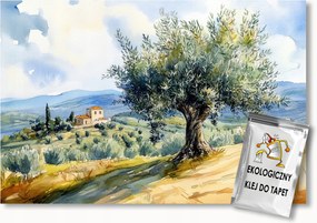 Fotótapéta Flizelina Olaszország Toszkána Fa Olíva Villa 150x105 ragasztó