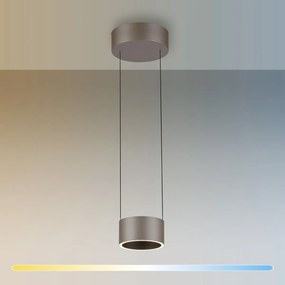 Paul Neuhaus modern függeszték pure clipse barna pln2471-97