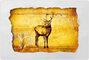 Poszterek 60x40 Szarvas