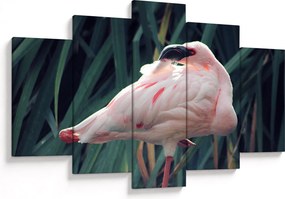 Kép - Flamingó (150x105 cm)