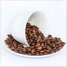 Poszterek 140x140 Szemes kávé a szakértőnek