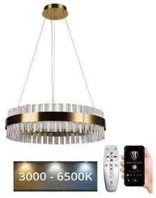 Brilagi Brilagi - LED Dimmelhető kristály csillár zsinóron HALO LED/40W/230V + távirányító BG0943