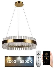 Brilagi - LED Dimmelhető kristály csillár zsinóron HALO LED/40W/230V + távirányító