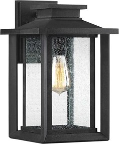 Quoizel Wakefield QZ-WAKEFIELD-M-TBK Fali lámpa 1x60W/E27 IP44