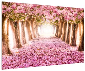 Virágos sétány képe (90x60 cm)