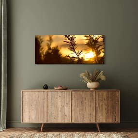 Kép - A nap lenyugszik a fák mögött (120x50 cm)