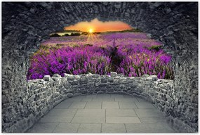 Poszter 60x40 Levendulamező Nyugat