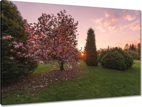 Vászonkép 90x60 Kilátás Tájkép