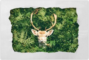 Poszterek 90x60 Szarvas felszarvazott