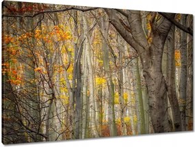 Vászonkép 90x60 Tájkép Látvány