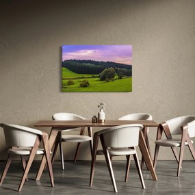 Rét képe (90x60 cm)