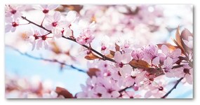 Akrilkép Cseresznye virágok oah-82072016