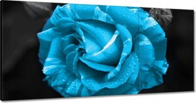 Vászonkép 180x90 Türkiz rózsa Virág